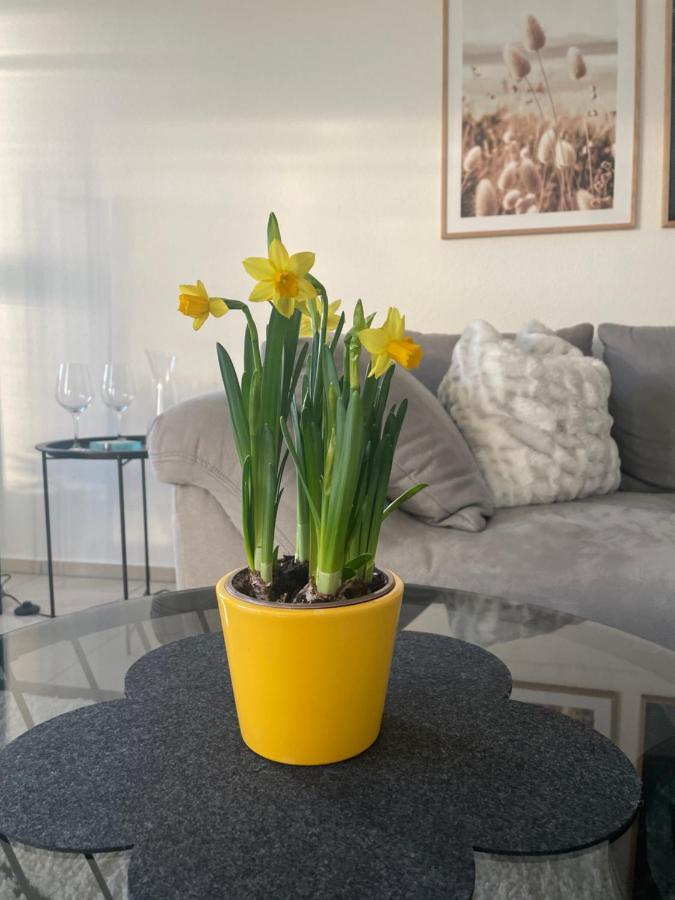 4-Sterne Ferienwohnung Krill Bad Wurzach Eksteriør billede